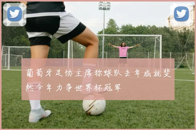 葡萄牙足协主席称球队去年成就斐然今年力争世界杯冠军