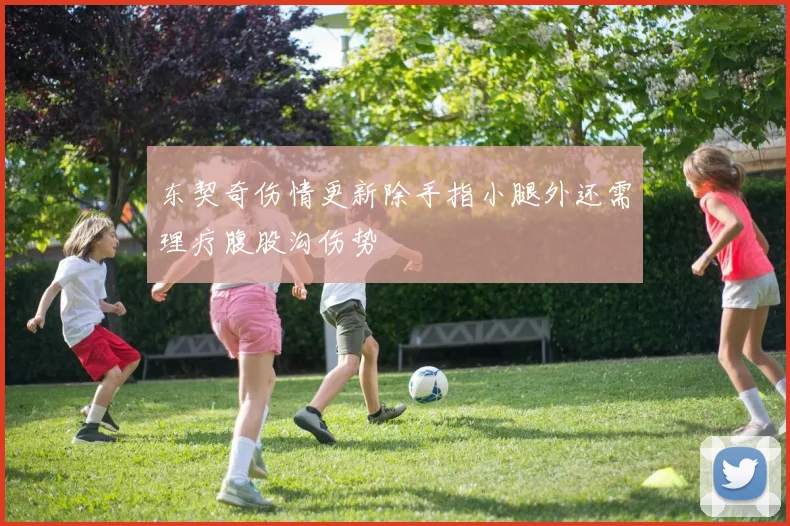 东契奇伤情更新除手指小腿外还需理疗腹股沟伤势