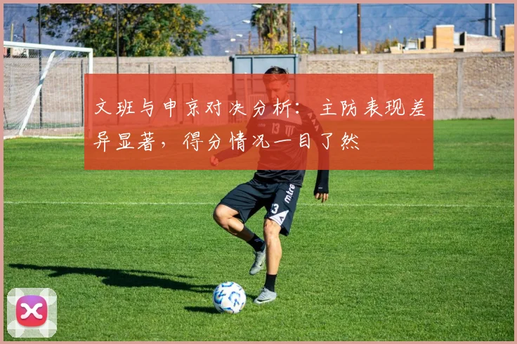文班与申京对决分析：主防表现差异显著，得分情况一目了然