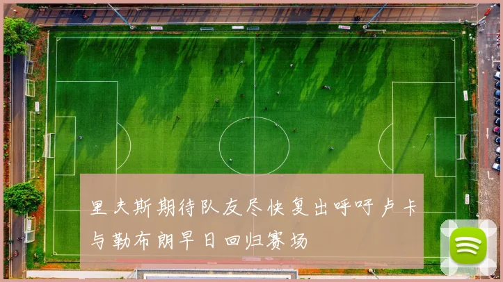 里夫斯期待队友尽快复出呼吁卢卡与勒布朗早日回归赛场