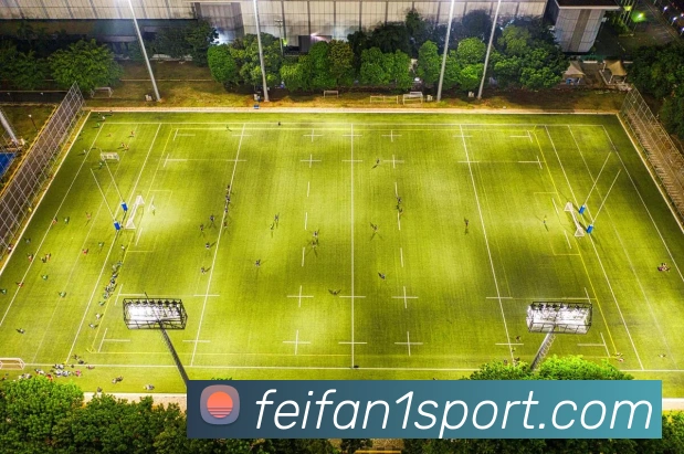 非凡体育发展历程